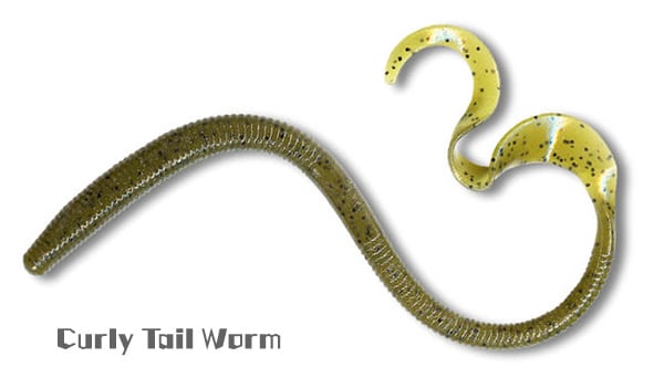 Curly tail worm-1
