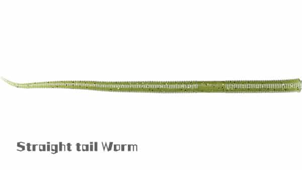 Straight tail Worm