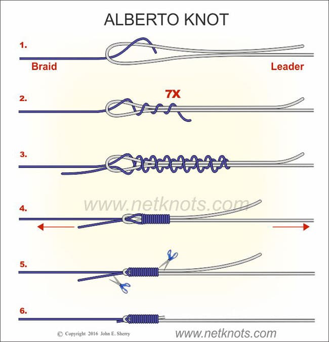 Alberto Knot 