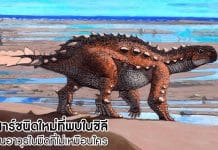 ไดโนเสาร์ชนิดใหม่