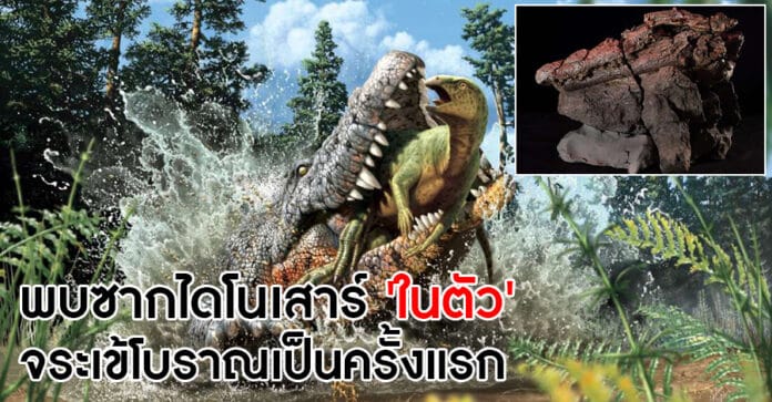 ไดโนเสาร์