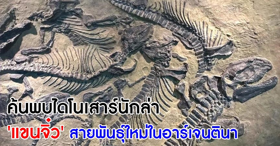 ไดโนเสาร์แขนจิ๋ว