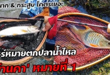 ตกปลาน้ำไหลราชบุรี บ้านคา