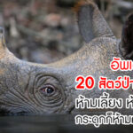 20 สัตว์ป่าสงวนของไทย
