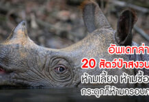 20 สัตว์ป่าสงวนของไทย