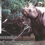 สัตว์ป่าสงวนของไทย