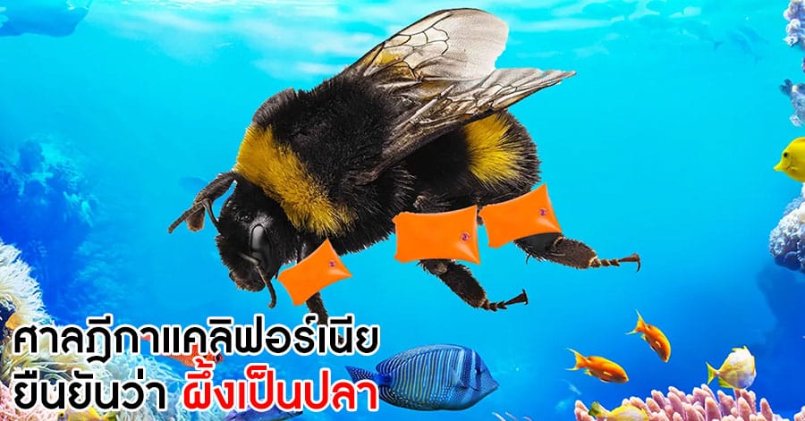 ผึ้งเป็นปลา