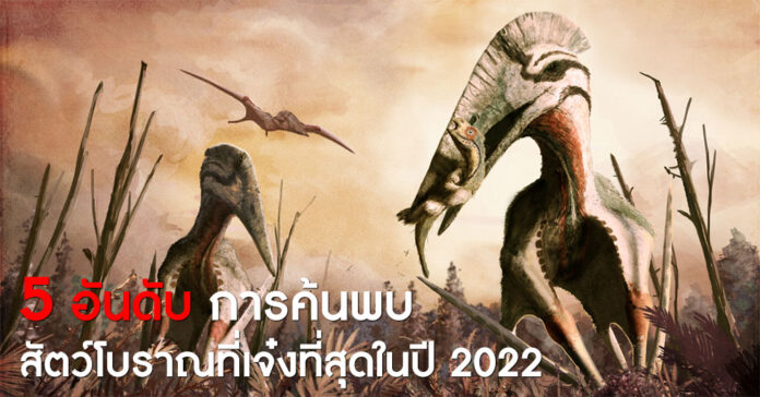 5 อันดับการค้นพบ ไดโนเสาร์ที่เจ๋งที่สุดในปี 2022