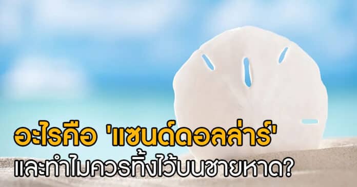 เหรียญทะเล