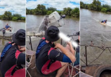 เกิดอะไรขึ้น เมื่อ ฮิปโป’ ชนเรือจนพลิกคว่ำ
